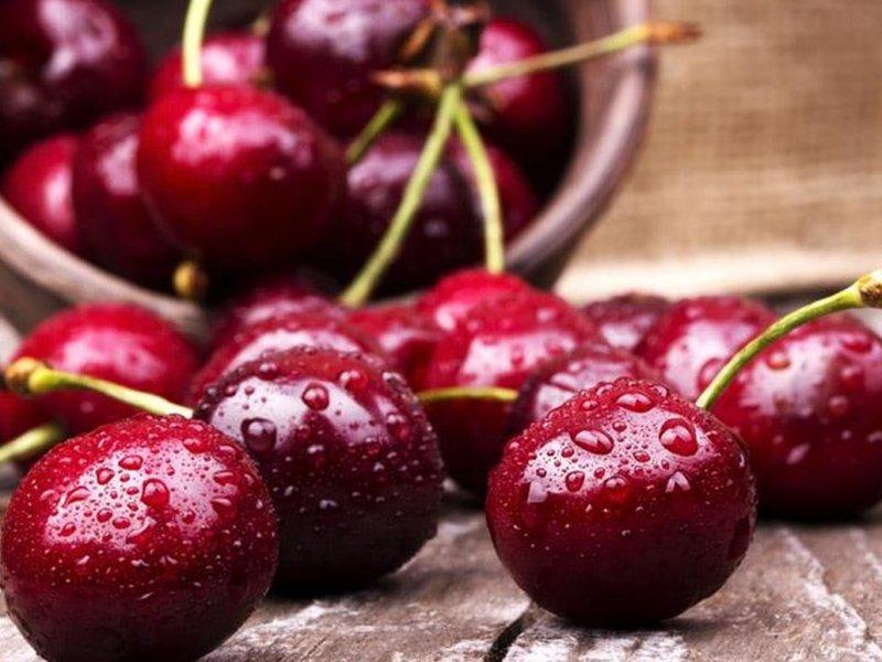Вишня купить саженцы из питомника в Кирово-Чепецке